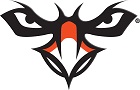 DT Image