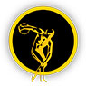 DT Image